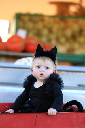 HadleyHalloween-3081