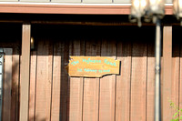 CombsWedding2024-0400