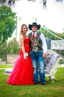 pROM2015-1