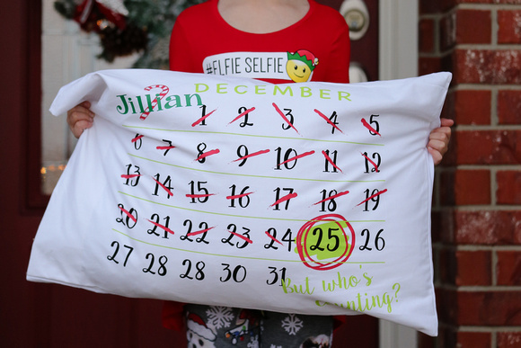 JillianChristmasPillow-8635